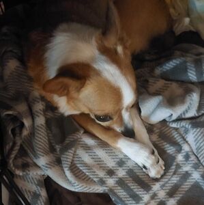 Just Lying Here In My Bed Watching Tv 😘